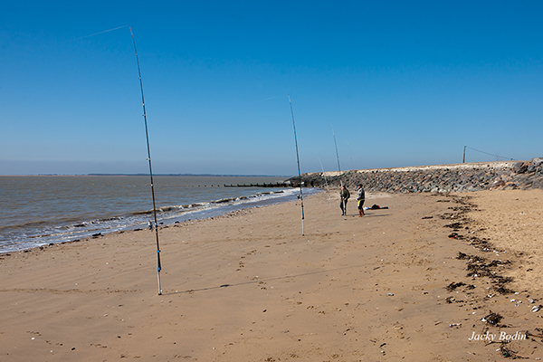 Plage de la baie de l'aiguillon